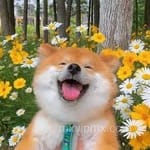 Avatar de Margarita Vega